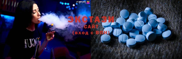 МДПВ Ельня