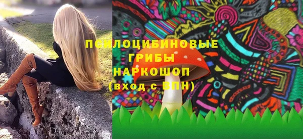молекула духа Елизово