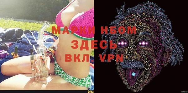 молекула духа Елизово