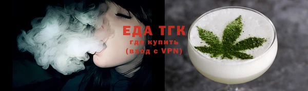 МДПВ Ельня