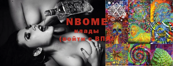 молекула духа Елизово