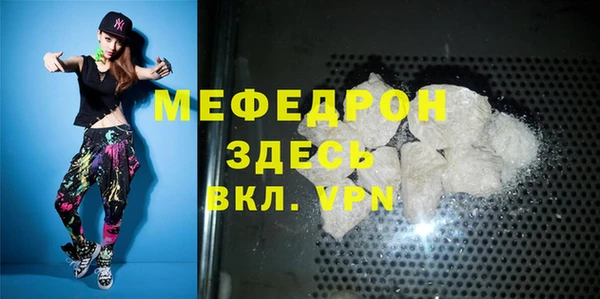 МДПВ Ельня