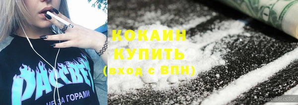 молекула духа Елизово