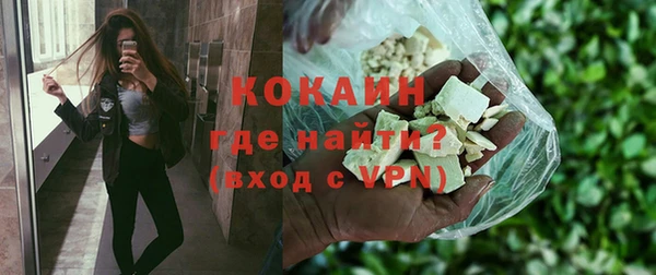молекула духа Елизово