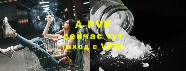 МДПВ Ельня
