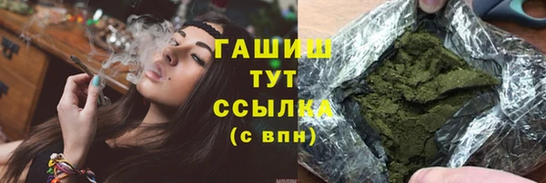 МДПВ Ельня