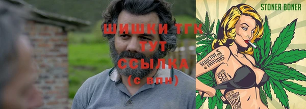 молекула духа Елизово