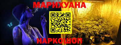 индика Шелехов
