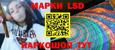 индика Шелехов