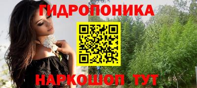 индика Шелехов