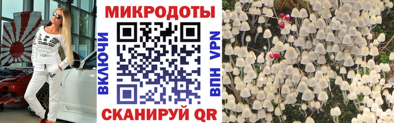 Галлюциногенные грибы Magic Shrooms MEGA tor Искитим