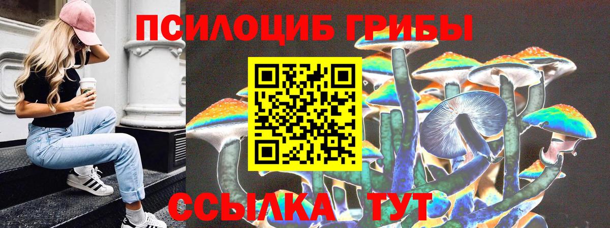 Псилоцибиновые грибы Psilocybe Искитим