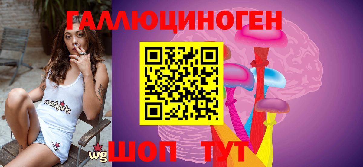 Искитим  Псилоцибиновые грибы GOLDEN TEACHER  Псилоцибиновые грибы мицелий  Вход с VPN 